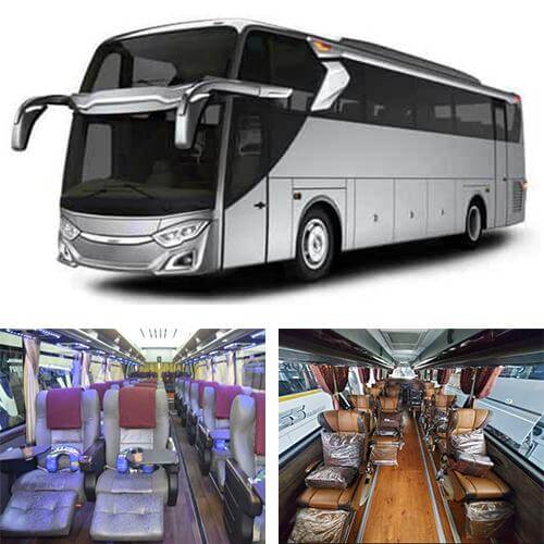 Bus Big Bus Vip Luxury